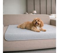 Dreamzie Coperta Impermeabile per Cani 80x100cm - Copridivano Impermeabile per Animali - Reversibile e Lavabile in Lavatrice in Pile Sherpa per Letto o Divano - Grigio chiaro