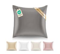 Dreamzie - Federa in seta 60 x 60 cm - 100% seta 19 momme certificate Oeko-TEX® - Benefici per capelli e pelle - Anti-invecchiamento, anti acaro - grigio argento