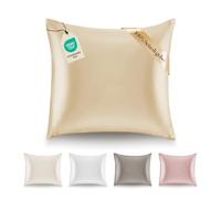 Dreamzie Federa Seta Cuscino 60x60 100% Seta Naturale di Gelso 19 Momme - Federa di Seta Antiacaro e Ipoallergenico - Talpa