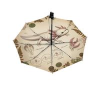 Drekrid Ombrelli compatti antivento per pioggia, ombrelli vintage Axolotl portatili leggeri automatici pieghevoli al contrario - grazioso piccolo ombrello con apertura automatica per pendolari, auto