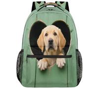 Drekrid Zaino scolastico da viaggio per donne e uomini, con cucciolo di Golden Retriever, leggero, per ragazzi e ragazze, adatto per laptop da 15,6 pollici, per studenti universitari, scuole medie e