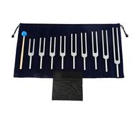 DRELD Set di 9 Diapason in Argento, 174/285/396/417/528/639/741/852/963Hz con 1 Martello in Silicone Blu e Una Borsa per Terapia del Suono, Equilibrio, Guaritori, Vibrazione