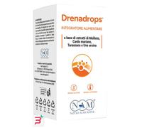 DRENADROPS SOLUZIONE IDROALCOLICA 100 ML