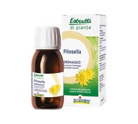 PILOSELLA BOI EI 60ML INT