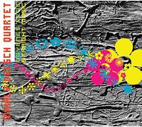 Dresch, Mihaly Quartet - Straight Music