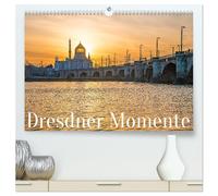 Dresdner Momente (hochwertiger Premium Wandkalender 2026 DIN A2 quer), Kunstdruck in Hochglanz: 12 Momente aus Dresden und Umgebung