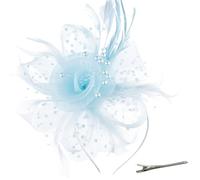 DRESHOW Fascinators per Capelli da Donna Fascinator Chapeau Nuptiale Plumes Cheveux Clip Accessoires Cocktail Royal Ascot