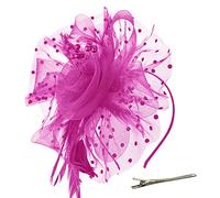 DRESHOW Fascinators per Capelli da Donna Fascinator Chapeau Nuptiale Plumes Cheveux Clip Accessoires Cocktail Royal Ascot