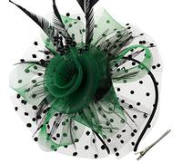 DRESHOW Fascinators per Capelli da Donna Fascinator Chapeau Nuptiale Plumes Cheveux Clip Accessoires Cocktail Royal Ascot