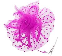 DRESHOW Fascinators per Capelli da Donna Fascinator Chapeau Nuptiale Plumes Cheveux Clip Accessoires Cocktail Royal Ascot