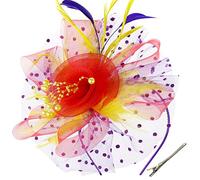 DRESHOW Fascinators per Capelli da Donna Fascinator Chapeau Nuptiale Plumes Cheveux Clip Accessoires Cocktail Royal Ascot