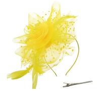 DRESHOW Fascinators per Capelli da Donna Fascinator Chapeau Nuptiale Plumes Cheveux Clip Accessoires Cocktail Royal Ascot