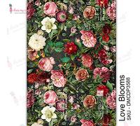 Dress My Craft Transfer Me Sheet A4-Love Blooms