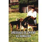 Dressage de chiens au sanglier - Vidéo Chasse - Chiens de chasse