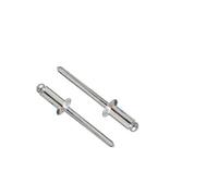 Dresselhaus 2951/000/99 4x10 Rivetto cieco