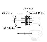 DRESSELHAUS Pack 4 viti per targa 6X20 MM