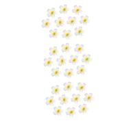 DRESSOOS Fermagli Hawaiani 30 Pezzi Clip Di Hawaiani Da Sposa Tornante Per La Sposa Clip Di Per La Ragazza Mollette Per Per Le Ragazze Artiglio Dei Clip Per Le Donne Perno Di