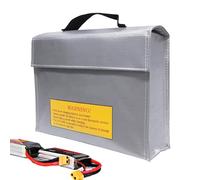 Dreuhuing per batteria ignifuga, protettiva per batteria, scatole di sicurezza resistenti all'usura, organizer portatile per trasporto e ricarica, 240 x 185 x 65 mm, Refer to