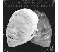 Drexciya Harnessed the Storm (Vinyl LP) 12" Album Coloured Vinyl