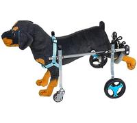 DRFGHK Carrello per Sedia a rotelle per Cani con Supporto Completo a 4 Ruote per tutore per Gambe, Sedia a rotelle per Esercizi per Animali disabili (Media)