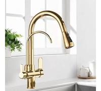 DRFGNF 3 Way Kitchen Tap with Pull out Sprayer Gold Gooseneck Kitchen Mixer Taps with Pull out Spray Drinking Water Faucet Tap