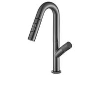DRFGNF Kitchen Faucet Pull out The Kitchen Faucet, Sink Mixer Tap, Flow Spray Head Hot And Cold Water Tap Kitchen Faucet),additionalWeblabs:(Pax_Checkout_Buy_Now_GC_Tango_1