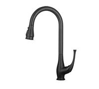 DRFGNF Kitchen Faucet with Pull out Spray, Sink Taps Hot And Cold Kitchen Faucet Single Lever 360°Rotate Kitchen Mixer Tap Black),additionalWeblabs:(Pax_Checkout_Buy_Now_GC