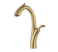 DRFGNF Kitchen Tap with Pull out Hose Brushed Gold Kitchen Sink Faucet, Water Tap Spray Head 360 Swivel Sprayer Nozzle Single Lever