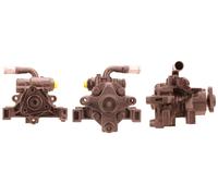 DRI Pompa Servo Idraulica Per Fiat Ducato Pritsche/Fahrgestell Bus 715520432