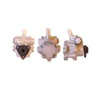 DRI Servo Pompa Idraulico per Audi A4 Avant 8E5 B6 8ED B7 8E2 8EC VW 715520208