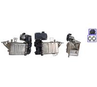 DRI Valvola EGR Elettrico Con Materiale Montaggio per VW Transporter VI Multivan