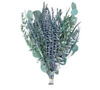 Dried Eucalyptus Shower Bundle - Artificiale Eucalyptus Leaves Stems | Eucalyptus Leaves Branches | 27 Plant Branches | Artificiale Eucalyptus Leaves Branches, Fragrance, Home Spa Bathroom Vase Decor