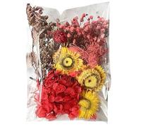 Dried Flower Craft - Wedding Centerpiece Accessory, Colorful Floral Arrangement, Versatile Craft Decoration | Handmade Journaling Embellishment Kit, Practical Use for Bedroom Office Scrapbook Card DIY