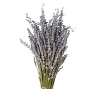 Dried Lavender - 40cm Ořiginaĺ Dried Flowers For Crafts