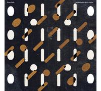 Dries Tack In Memoriam Alvin Lucier (Vinyl LP) 12" Album