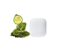 Drift Diffusore di profumo per la casa, starter kit in Forest Walk, diffusore di aromi regolabile e di lunga durata, ingredienti puliti, sicuro per animali domestici