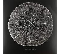 Driftwood - Only Fighters Left Behind