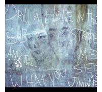Drill a Hole in That Substrate and Tell Me What You See (CD) Album