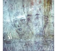 Jim White Drill a Hole in That Substrate and Tell Me What You See (Vinyl LP)