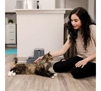 DRINKWELL 3.7 LITRE PET FOUNTAIN