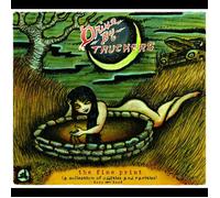 Drive-By Trucker The Fine Print: A Collection of Oddities and Raritie (Vinyl LP)