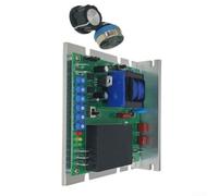 Driver DC Spazzolato 15A 220V per Motori 500W-1000W | Corrente max 15A, tensione 0-220VDC, per ideale motori 500W-1000W, regolazione precisa