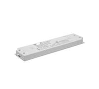 Driver dimmerabile a tensione costante standard USA 40W/12V, elevata compatibilità e anti-sfarfallio AED40K-12VLSTB-UL