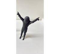 DRIVER F1 FIGURE 1:18 1:12 1:43 1:24 minichamps ixo spark no paint (v.1)