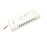 Driver LED 22-30 V 2.4G Alimentatore intelligente parallelo a due fili a 2 colori 600 mA 800 mA 1200 mA 1500 mA 1800 mA 2400 mA 2700 mA 3000 mA(1200mA 110-220V)