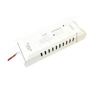 Driver LED 22-30 V 2.4G Alimentatore intelligente parallelo a due fili a 2 colori 600 mA 800 mA 1200 mA 1500 mA 1800 mA 2400 mA 2700 mA 3000 mA(800mA 110-220V)