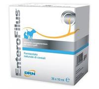 Drn ENTEROFILUS FIALE 36 X 10 ML