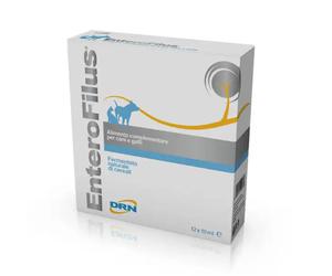 DRN Enterofilus Supporto del naturale equilibrio della flora intestinale Fiale per cani e gatti 10 ml 12 Fiale - Integratori per cani - 1° ORDINE? scegli lo sconto BZR5 / BZR20 + 200 punti fedeltà