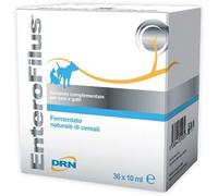 drn srl Enterofilus Fiale 36X10 Ml