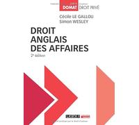 Droit anglais des affaires